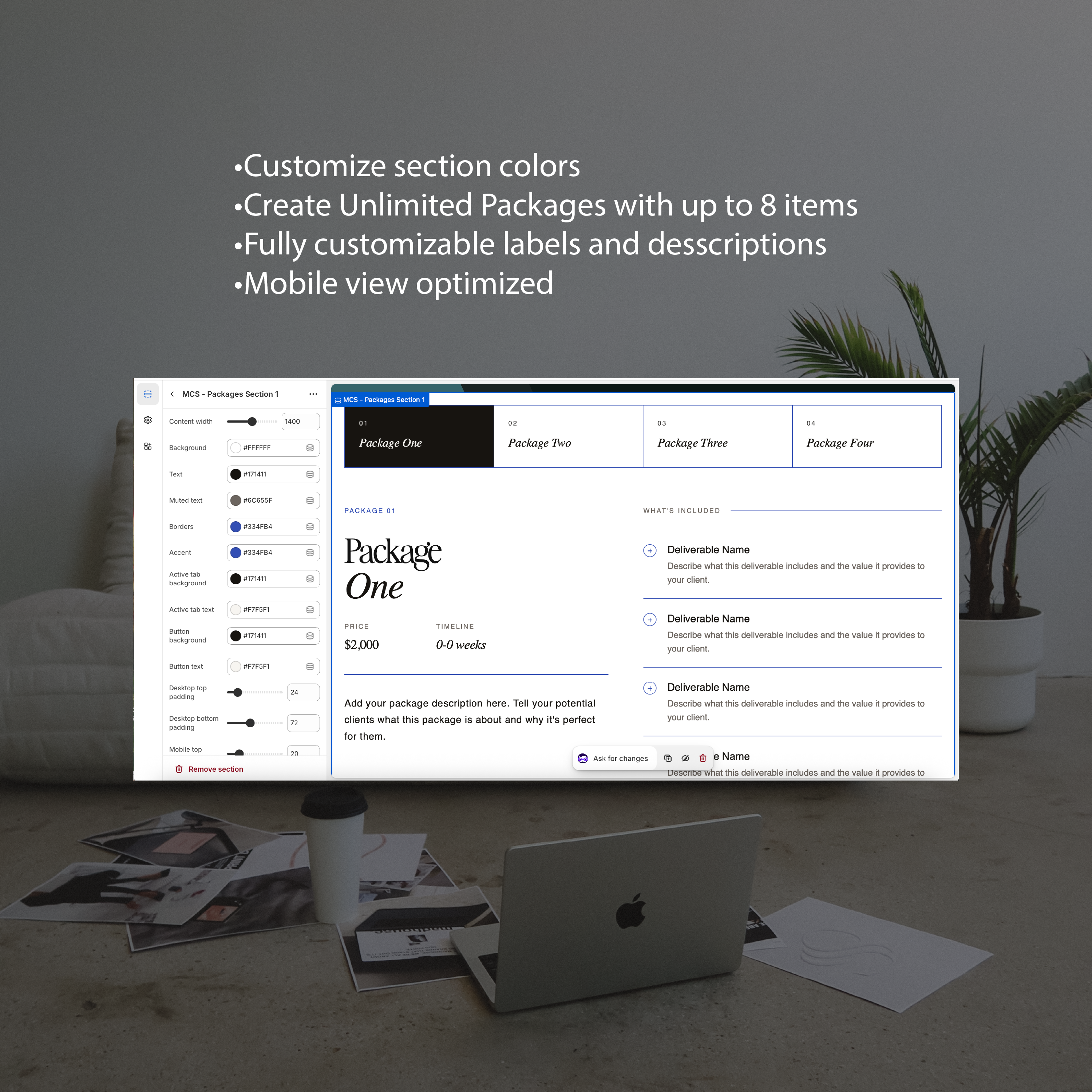 Shopify Service Package Section